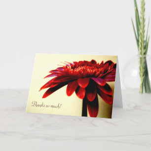 Red Gerbera - tackkort