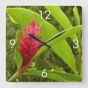 Red Ginger Flower (Alpinia) Tropical Fyrkantig Klocka