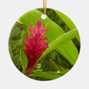 Red Ginger Flower (Alpinia) Tropical Julgransprydnad Keramik
