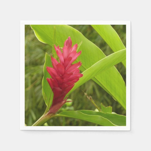 Red Ginger Flower (Alpinia) Tropical Pappersservett (Framsidan)