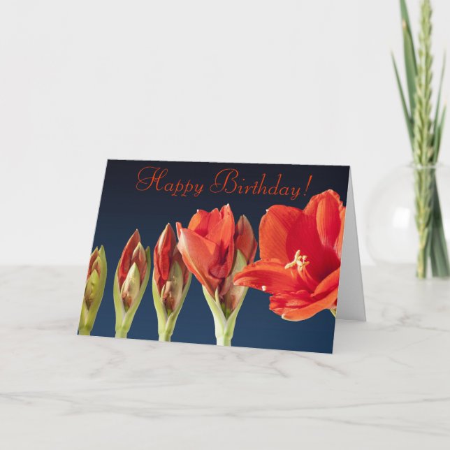 Red Gladiolus Birthday Card Kort (Framsida)