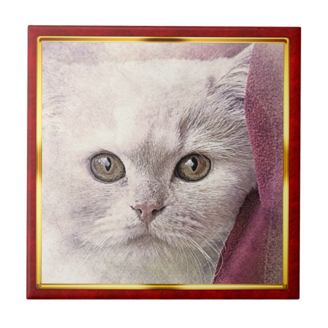 Red & Gold Framed Abstract Cat Print Kakelplatta (Framsidan)