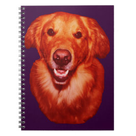 Red Golden Retriever Front Profile Anteckningsbok Med Spiral