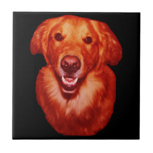 Red Golden Retriever Front Profile Kakelplatta