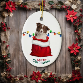 Red Gräns Collie Puppy i Helgdag Gift Bag Julgransprydnad Keramik