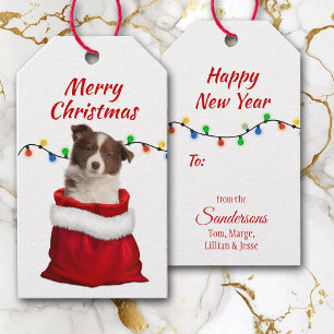 Red Gräns Collie Puppy i Santa Bag Presentetikett