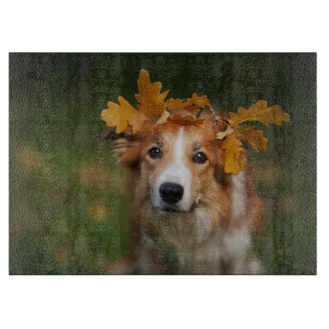 Red Gräns Collie with a Garland of Höst löv (Framsidan)
