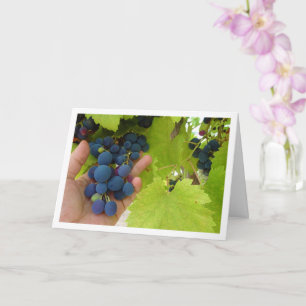 Red Grape Bunch i Hand Kort