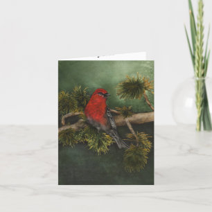 Red Gräs Grosbeak Bullfinch Bird Greeting Card Kort