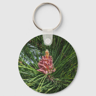 Red Gräs Träd pollen Cone (Pinus resinosa) Nyckelring