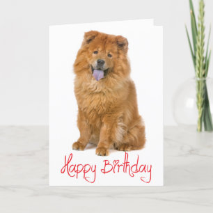 Red Grattis på födelsedagen Chow Chow Brown Puppy  Kort