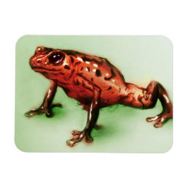 Red & Grönt animal art, Photo Magnet - Frog