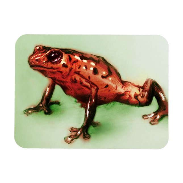 Red & Grönt animal art, Photo Magnet - Frog (Horisontell)
