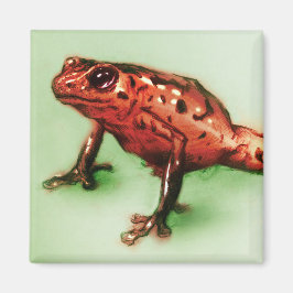 Red & Grönt animal art, Square Magnet - Frog
