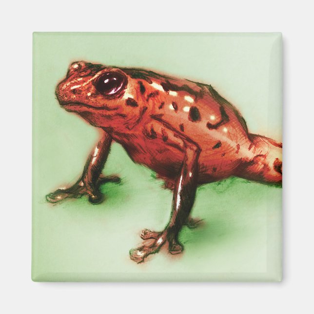 Red & Grönt animal art, Square Magnet - Frog (Framsidan)