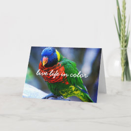 Red Grönt Blue Bird Live Life in Färg Script fet Kort