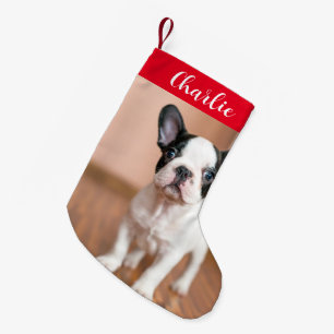 Red Grönt Hund Photo Personlig Namn Liten Julstrumpa