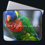 Red Grönt Lorikeet Bird Photo Live Life i Färg Laptop Sleeve<br><div class="desc">Följ ledarna av den här röda, blå, grönt och gult lilla kamraten och se till att du lever livet till det yttersta, "levande livet i färg". Den här lycklig kommer flerhuggen fotografi av Neoprene laptop sleeve att ge ett leende till ansikte varje gång du ser det. Laptop sleeve finns i...</div>
