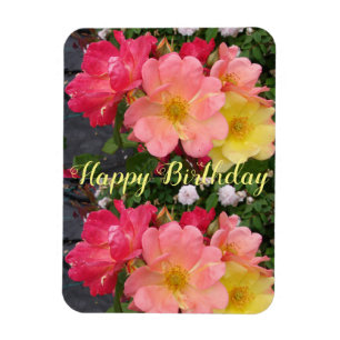 Red Gul ros Flower Blommigt Birthday Ro Magnet