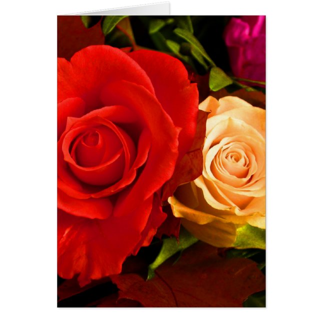 Red Gul ros Hälsningskort (Framsidan)