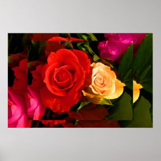 Red Gul ros II Poster