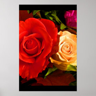 Red Gul ros III Poster