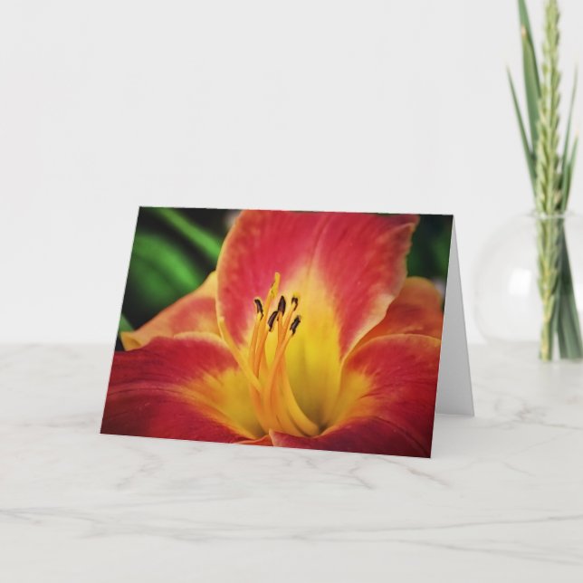 Red Guld Lily Flower Note Card Kort (Framsida)