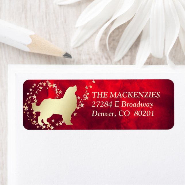 Red Guld Star Swirl Bernese Mountain Hund Returadress Etikett (Insitu)