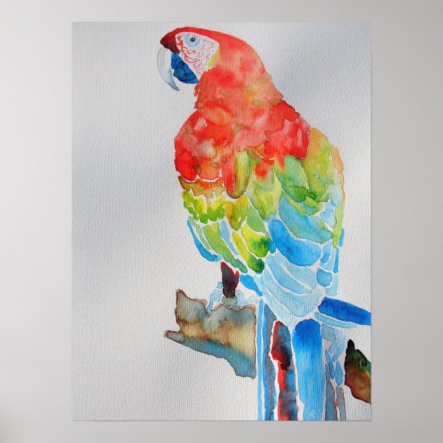 Red Gult Blue Macaw Parrot Watercolor Poster (Framsidan)