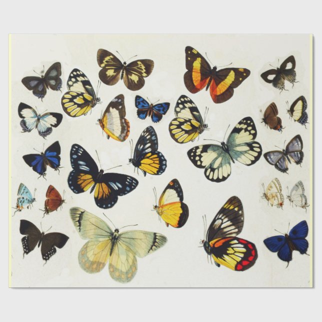 RED GULT BLUE WHITE BUTTERFLIES Beauty Nature Presentpapper (Platt)