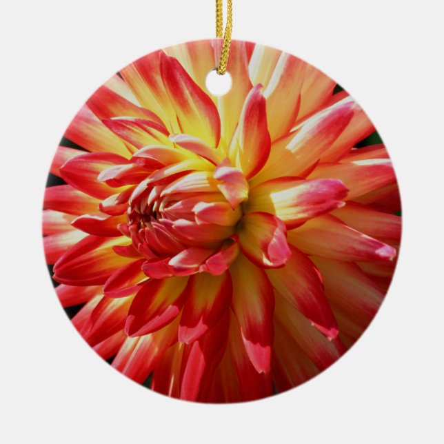 Red Gult Dahlia Flower Ornament (Framsidan)