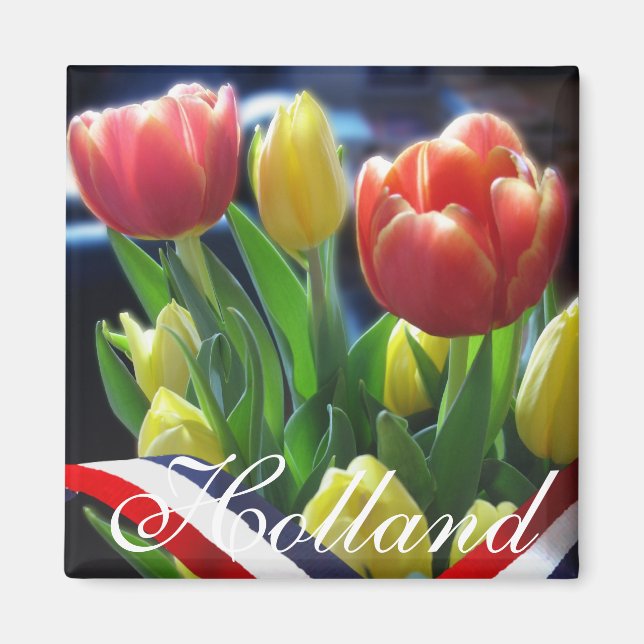 Red Gult Dutch Tulips Holland Fridge Magnet (Framsidan)