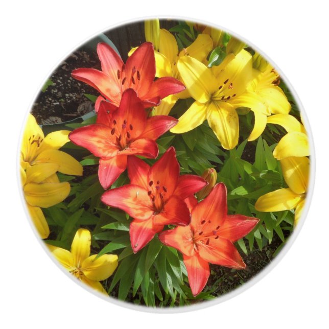 Red & Gult Lily w/grönt foliage Ceramic pull Knopp (Framsidan)