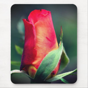 Red Gult Rosenknopp Flower Musmatta