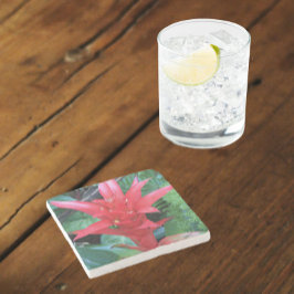 Red Guzmania Bromeliad Blommigt Stenunderlägg