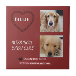 Red Halo Pet Remembrance Kakelplatta