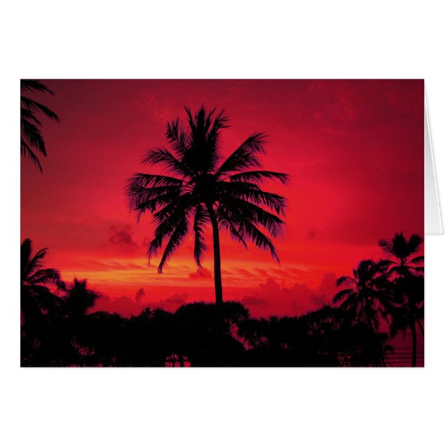 Red Hawaiian Sunset Exotic Handflatan Träd Hälsningskort (Framsidan Horizontal)