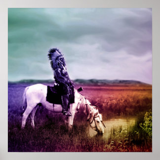 Red Hawk vid en Oasis i Badlands Poster