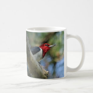 Red-Headed Woodpecker Coffee Mugg