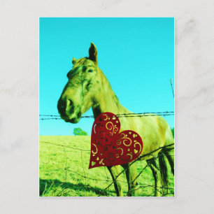 Red Heart and Horse Vykort