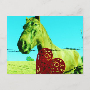Red Heart and Horse Vykort