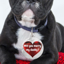 Red Heart Giftermål Frieri Hund Märkre