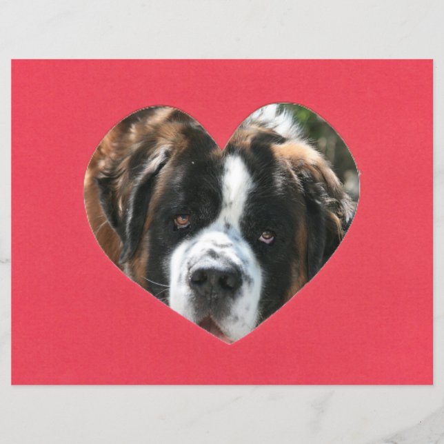 Red Heart Photo Ram (Framsida)
