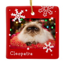 Red Helgdag Pet Photo Snowflake