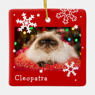 Red Helgdag Pet Photo Snowflake Julgransprydnad Keramik