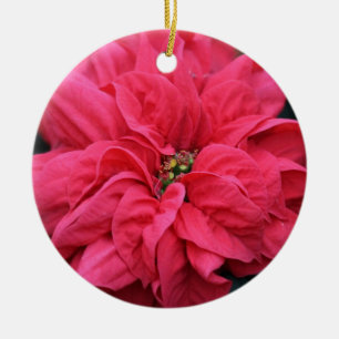 Red Helgdag Poinsettia Ornament
