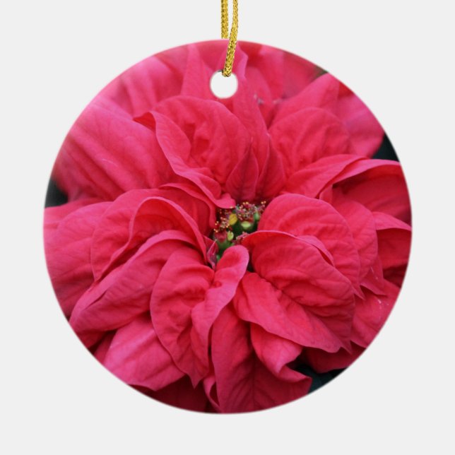 Red Helgdag Poinsettia Ornament (Framsidan)