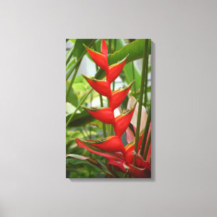 Red Heliconia Canvastryck
