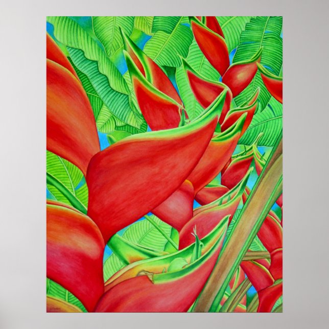 Red Heliconia Poster (Framsidan)