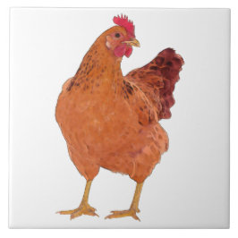 Red Hen L - stort keramiskt plattor Kakelplatta